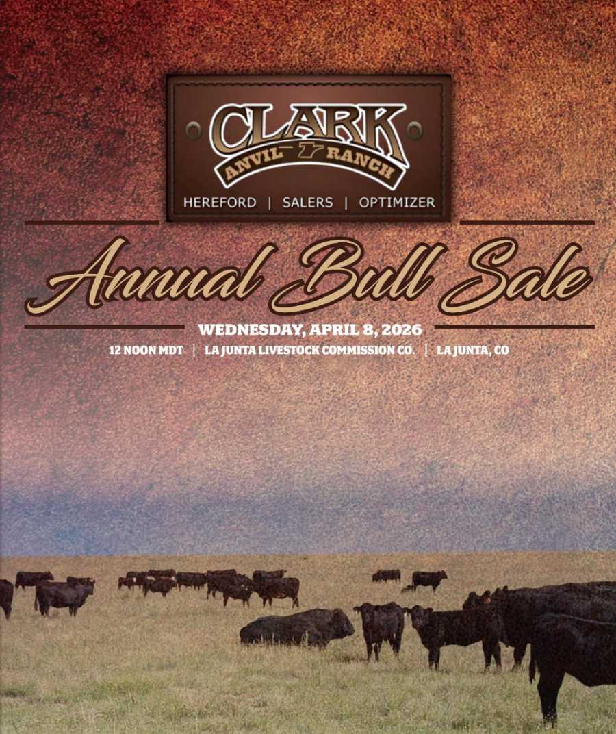 Clark Anvil Bull Sale Catalog 2026